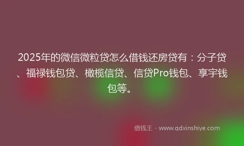 2025年的微信微粒贷怎么借钱还房贷有：分子贷、福禄钱包贷、橄榄信贷、信贷Pro钱包、享宇钱包等。