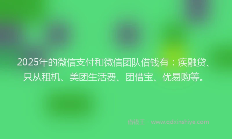 2025年的微信支付和微信团队借钱有：疾融贷、只从租机、美团生活费、团借宝、优易购等。
