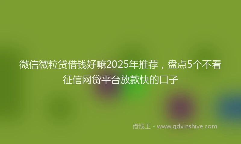 微信微粒贷借钱好嘛2025年推荐，盘点5个不看征信网贷平台放款快的口子