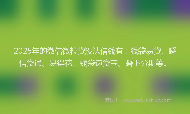 2025年的微信微粒贷没法借钱有：钱袋易贷、瞬信贷通、易得花、钱袋速贷宝、瞬下分期等。