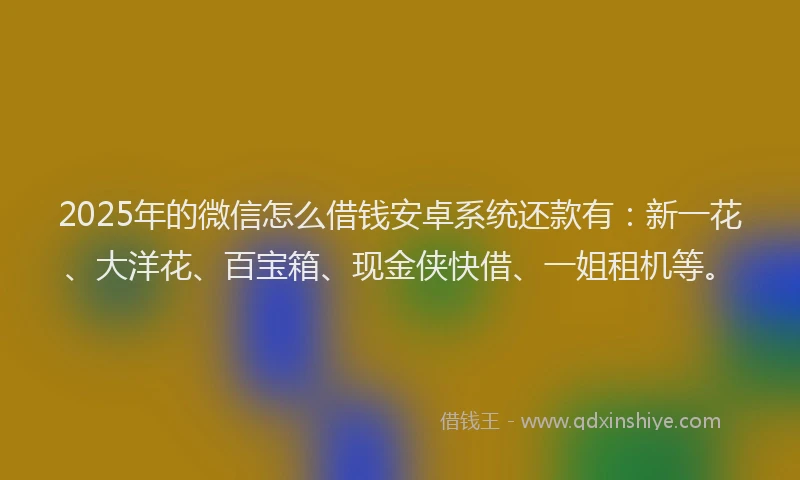 2025年的微信怎么借钱安卓系统还款有：新一花、大洋花、百宝箱、现金侠快借、一姐租机等。