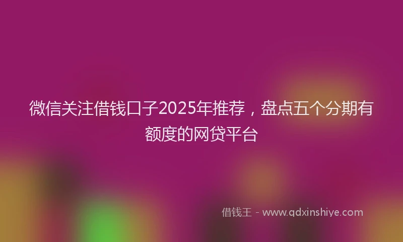 微信关注借钱口子2025年推荐，盘点五个分期有额度的网贷平台