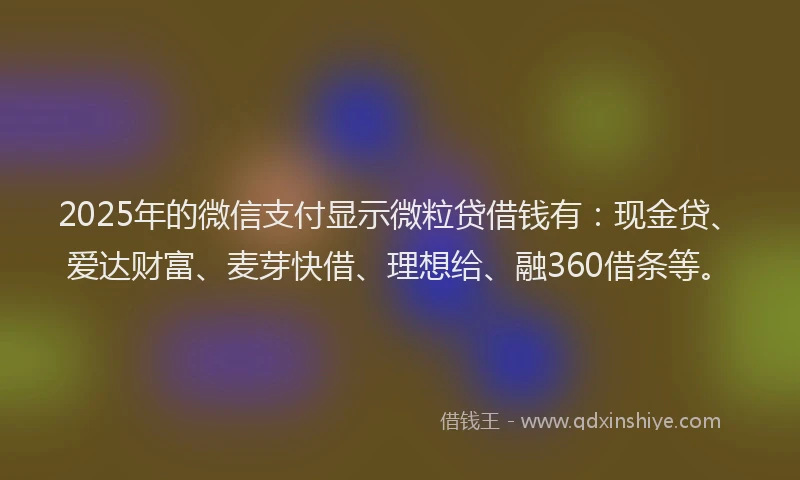 2025年的微信支付显示微粒贷借钱有：现金贷、爱达财富、麦芽快借、理想给、融360借条等。