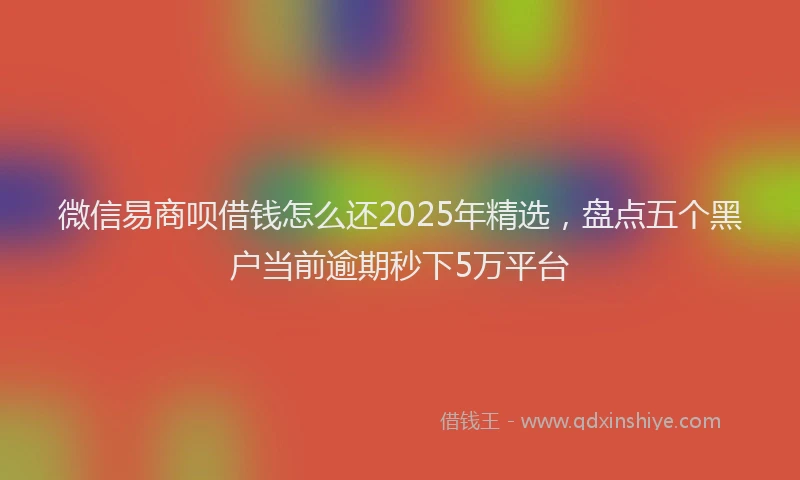微信易商呗借钱怎么还2025年精选，盘点五个黑户当前逾期秒下5万平台