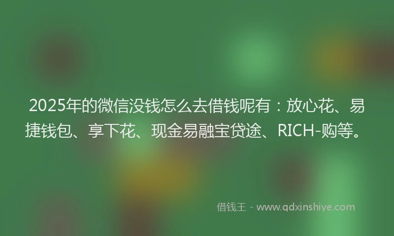 2025年的微信没钱怎么去借钱呢有：放心花、易捷钱包、享下花、现金易融宝贷途、RICH-购等。