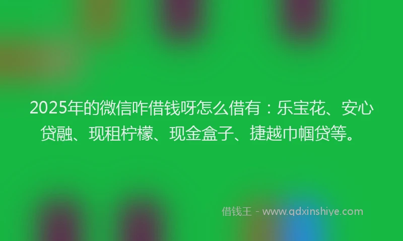 2025年的微信咋借钱呀怎么借有：乐宝花、安心贷融、现租柠檬、现金盒子、捷越巾帼贷等。
