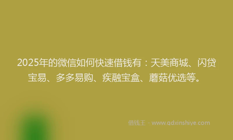 2025年的微信如何快速借钱有：天美商城、闪贷宝易、多多易购、疾融宝盒、蘑菇优选等。