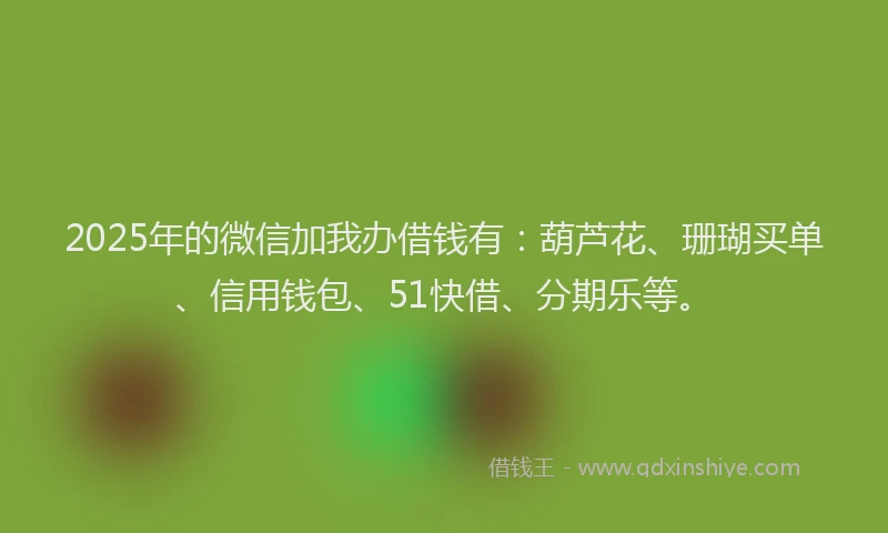 2025年的微信加我办借钱有：葫芦花、珊瑚买单、信用钱包、51快借、分期乐等。