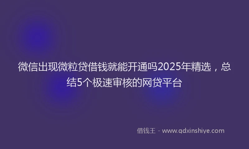 微信出现微粒贷借钱就能开通吗2025年精选，总结5个极速审核的网贷平台