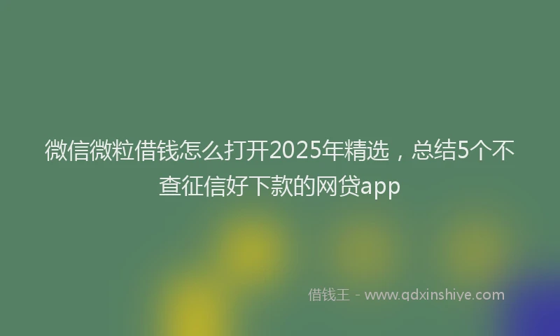 微信微粒借钱怎么打开2025年精选，总结5个不查征信好下款的网贷app