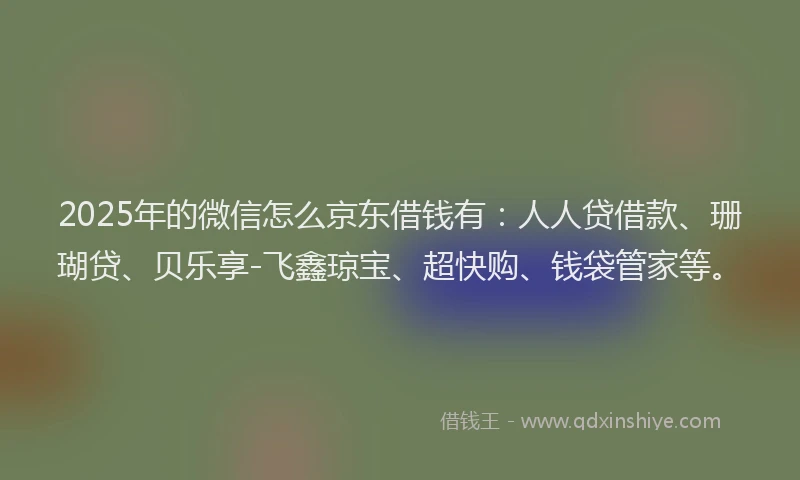 2025年的微信怎么京东借钱有：人人贷借款、珊瑚贷、贝乐享-飞鑫琼宝、超快购、钱袋管家等。