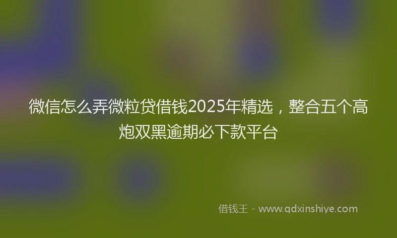 微信怎么弄微粒贷借钱2025年精选，整合五个高炮双黑逾期必下款平台