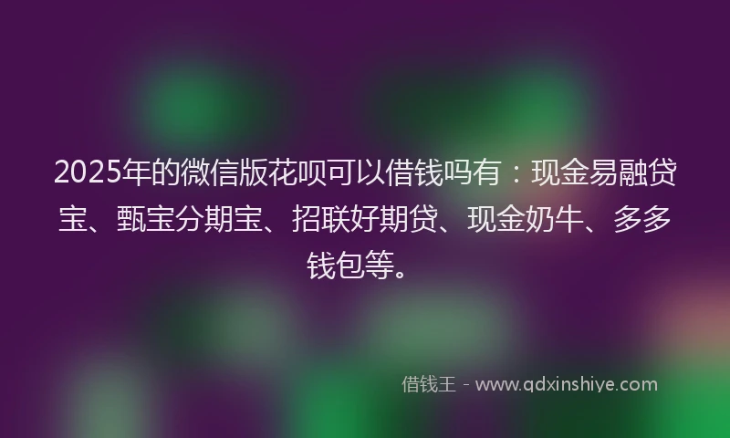 2025年的微信版花呗可以借钱吗有：现金易融贷宝、甄宝分期宝、招联好期贷、现金奶牛、多多钱包等。