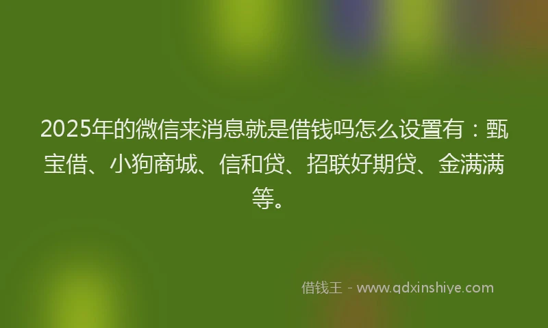 2025年的微信来消息就是借钱吗怎么设置有：甄宝借、小狗商城、信和贷、招联好期贷、金满满等。