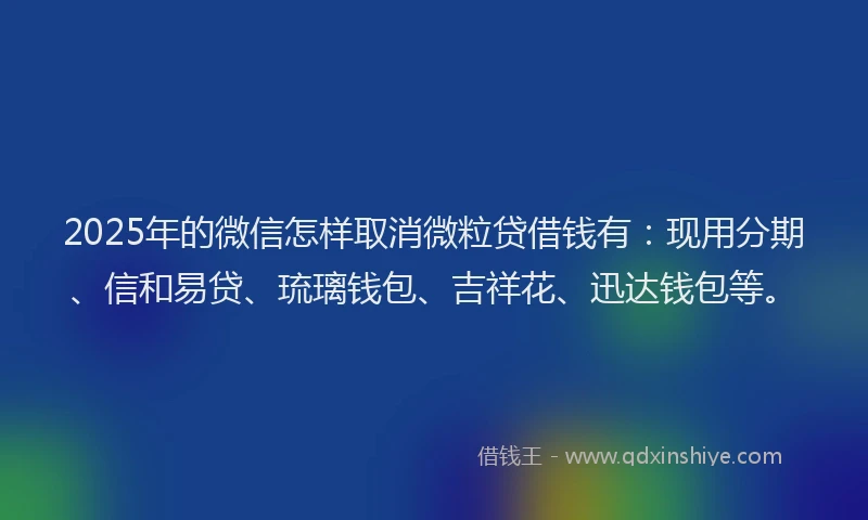 2025年的微信怎样取消微粒贷借钱有：现用分期、信和易贷、琉璃钱包、吉祥花、迅达钱包等。