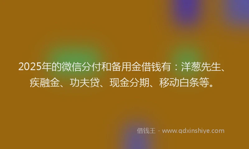 2025年的微信分付和备用金借钱有：洋葱先生、疾融金、功夫贷、现金分期、移动白条等。