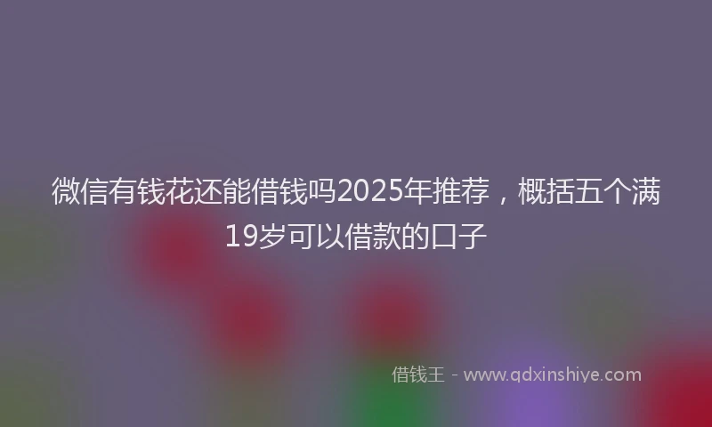 微信有钱花还能借钱吗2025年推荐，概括五个满19岁可以借款的口子