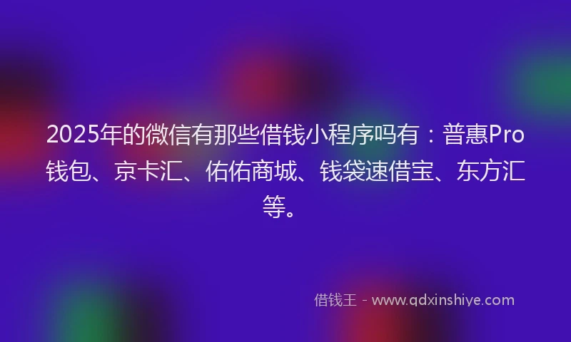 2025年的微信有那些借钱小程序吗有：普惠Pro钱包、京卡汇、佑佑商城、钱袋速借宝、东方汇等。