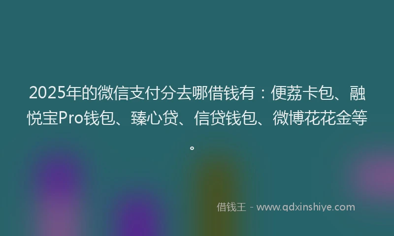 2025年的微信支付分去哪借钱有：便荔卡包、融悦宝Pro钱包、臻心贷、信贷钱包、微博花花金等。