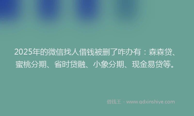 2025年的微信找人借钱被删了咋办有：森森贷、蜜桃分期、省时贷融、小象分期、现金易贷等。
