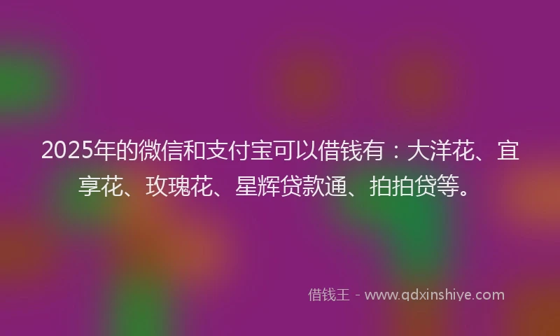 2025年的微信和支付宝可以借钱有：大洋花、宜享花、玫瑰花、星辉贷款通、拍拍贷等。