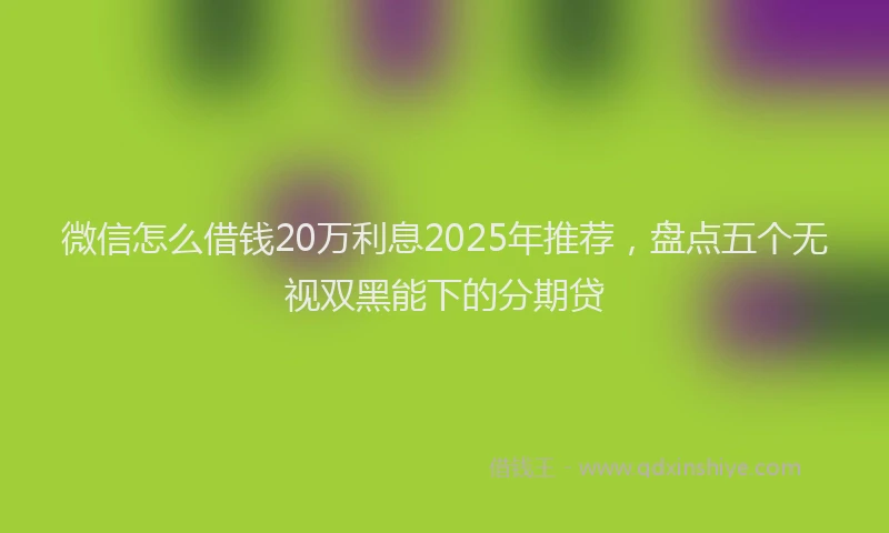 微信怎么借钱20万利息2025年推荐，盘点五个无视双黑能下的分期贷