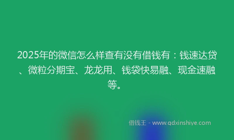 2025年的微信怎么样查有没有借钱有：钱速达贷、微粒分期宝、龙龙用、钱袋快易融、现金速融等。