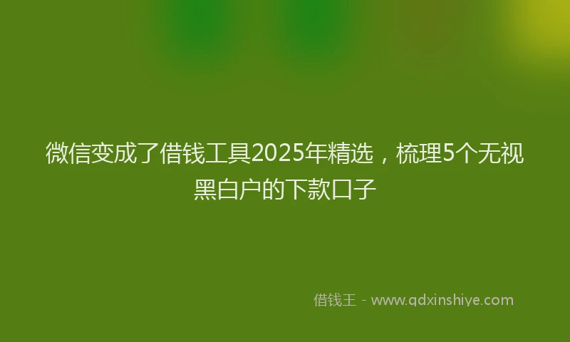 微信变成了借钱工具2025年精选，梳理5个无视黑白户的下款口子