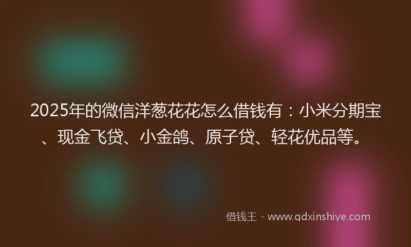 2025年的微信洋葱花花怎么借钱有：小米分期宝、现金飞贷、小金鸽、原子贷、轻花优品等。