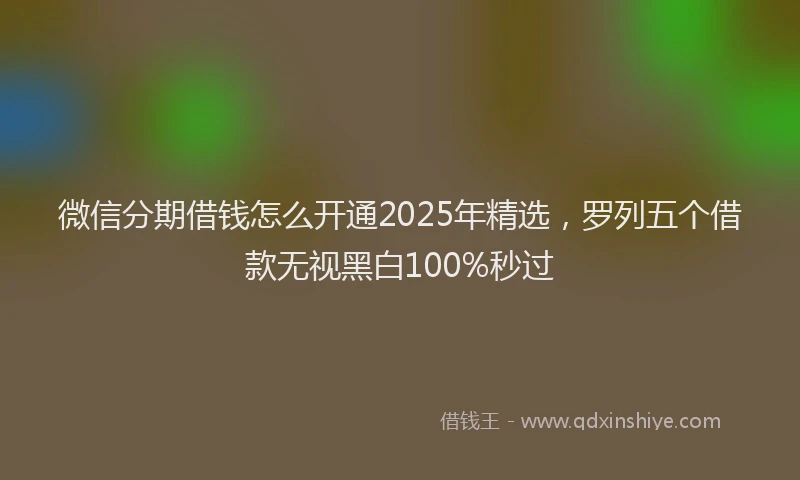 微信分期借钱怎么开通2025年精选，罗列五个借款无视黑白100%秒过