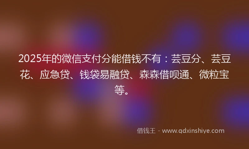 2025年的微信支付分能借钱不有：芸豆分、芸豆花、应急贷、钱袋易融贷、森森借呗通、微粒宝等。