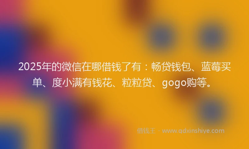 2025年的微信在哪借钱了有：畅贷钱包、蓝莓买单、度小满有钱花、粒粒贷、gogo购等。