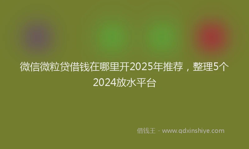 微信微粒贷借钱在哪里开2025年推荐，整理5个2024放水平台