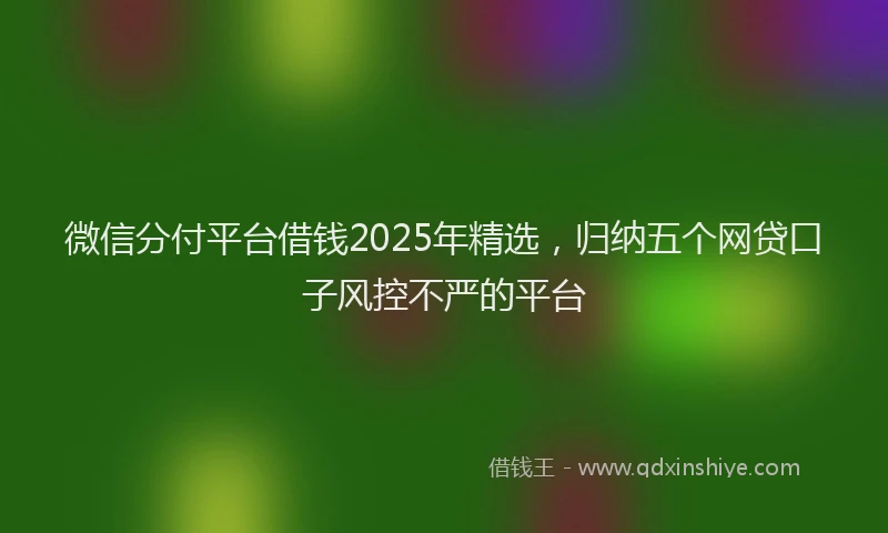 微信分付平台借钱2025年精选，归纳五个网贷口子风控不严的平台