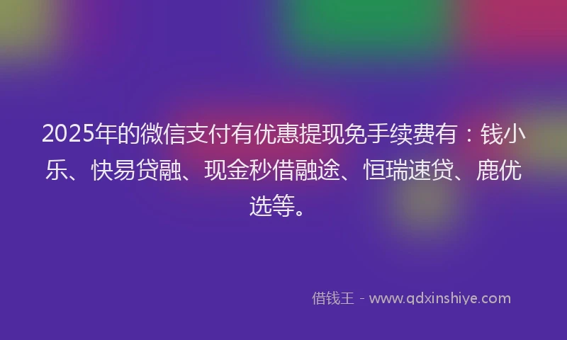 2025年的微信支付有优惠提现免手续费有：钱小乐、快易贷融、现金秒借融途、恒瑞速贷、鹿优选等。