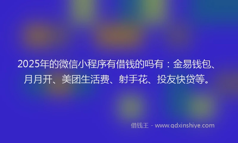 2025年的微信小程序有借钱的吗有：金易钱包、月月开、美团生活费、射手花、投友快贷等。