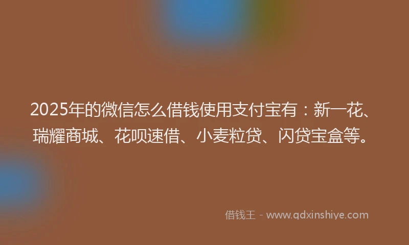 2025年的微信怎么借钱使用支付宝有：新一花、瑞耀商城、花呗速借、小麦粒贷、闪贷宝盒等。