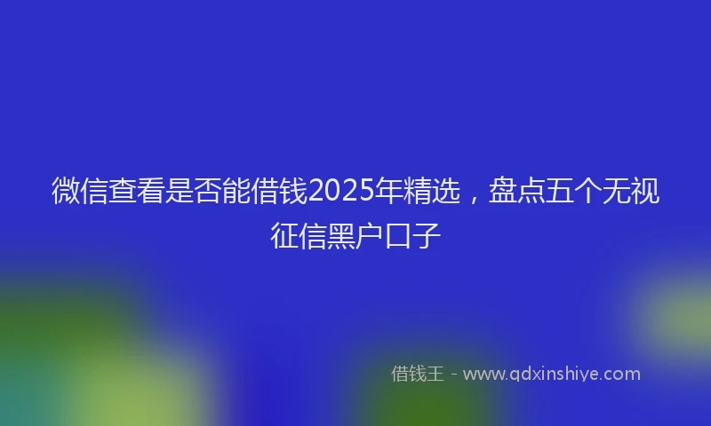 微信查看是否能借钱2025年精选，盘点五个无视征信黑户口子