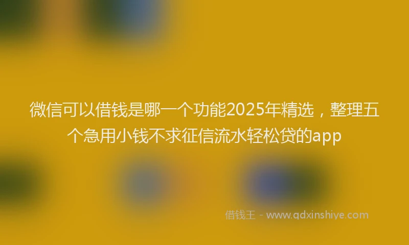 微信可以借钱是哪一个功能2025年精选，整理五个急用小钱不求征信流水轻松贷的app