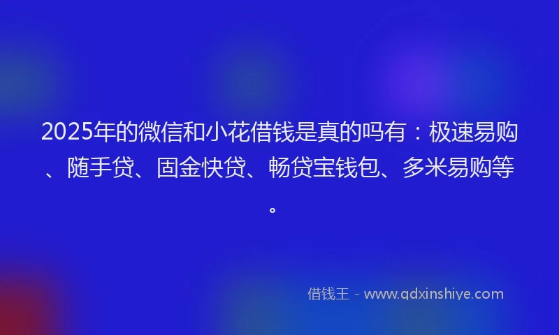 2025年的微信和小花借钱是真的吗有：极速易购、随手贷、固金快贷、畅贷宝钱包、多米易购等。