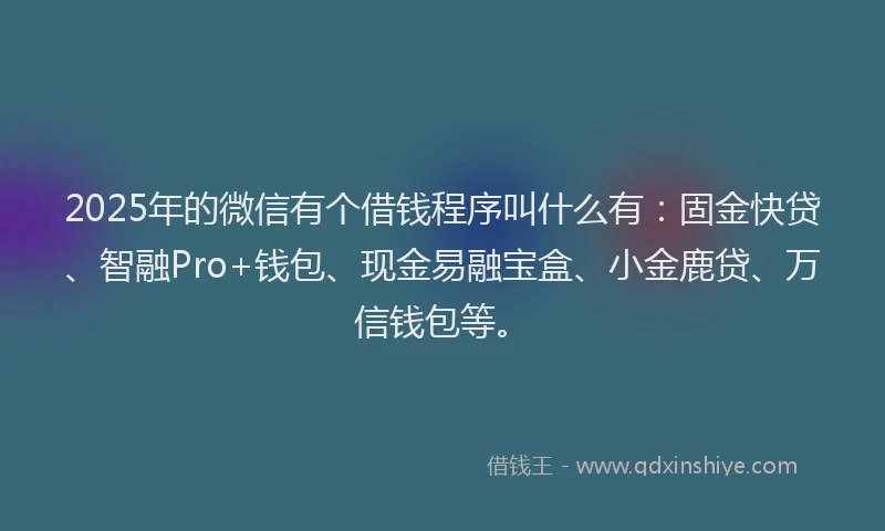2025年的微信有个借钱程序叫什么有：固金快贷、智融Pro+钱包、现金易融宝盒、小金鹿贷、万信钱包等。