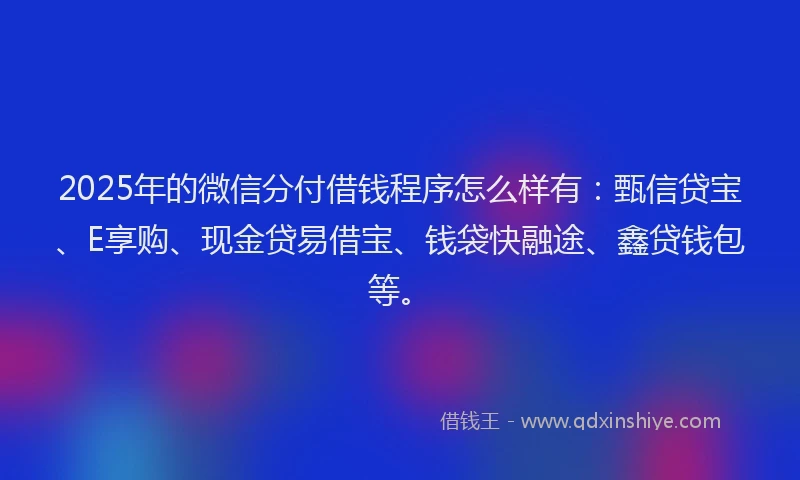 2025年的微信分付借钱程序怎么样有：甄信贷宝、E享购、现金贷易借宝、钱袋快融途、鑫贷钱包等。