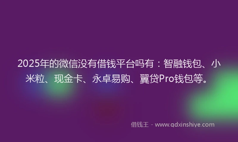 2025年的微信没有借钱平台吗有：智融钱包、小米粒、现金卡、永卓易购、翼贷Pro钱包等。