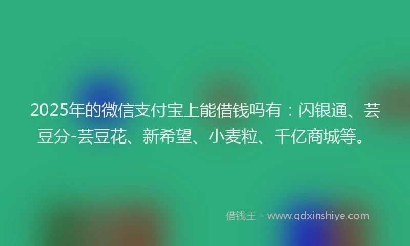 2025年的微信支付宝上能借钱吗有：闪银通、芸豆分-芸豆花、新希望、小麦粒、千亿商城等。