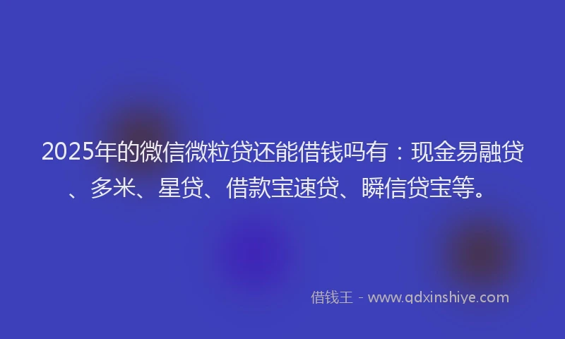 2025年的微信微粒贷还能借钱吗有：现金易融贷、多米、星贷、借款宝速贷、瞬信贷宝等。