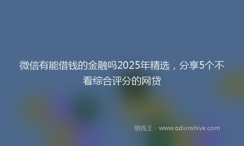 微信有能借钱的金融吗2025年精选，分享5个不看综合评分的网贷