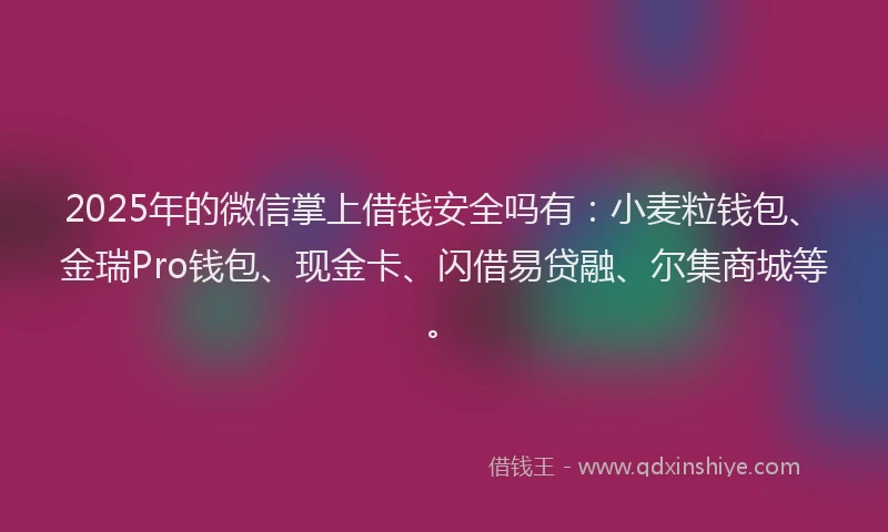 2025年的微信掌上借钱安全吗有：小麦粒钱包、金瑞Pro钱包、现金卡、闪借易贷融、尔集商城等。