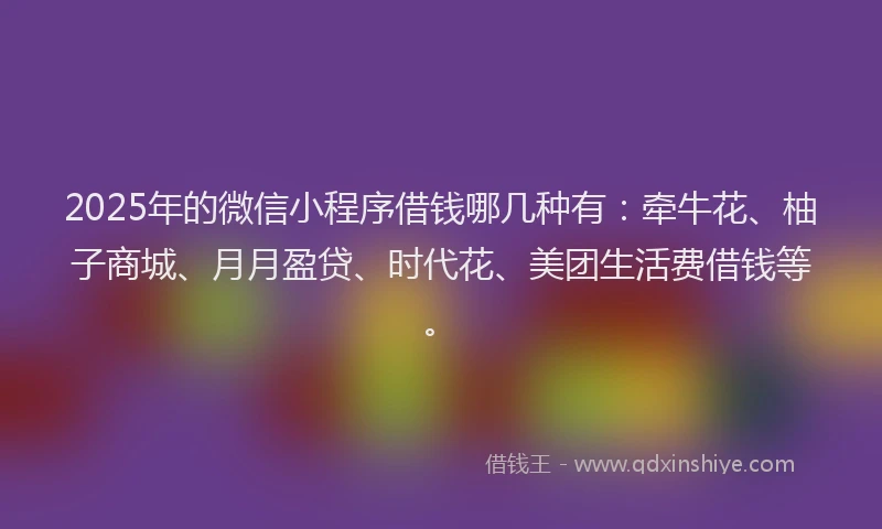2025年的微信小程序借钱哪几种有：牵牛花、柚子商城、月月盈贷、时代花、美团生活费借钱等。
