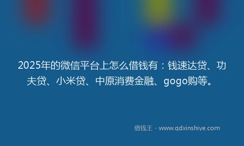 2025年的微信平台上怎么借钱有：钱速达贷、功夫贷、小米贷、中原消费金融、gogo购等。
