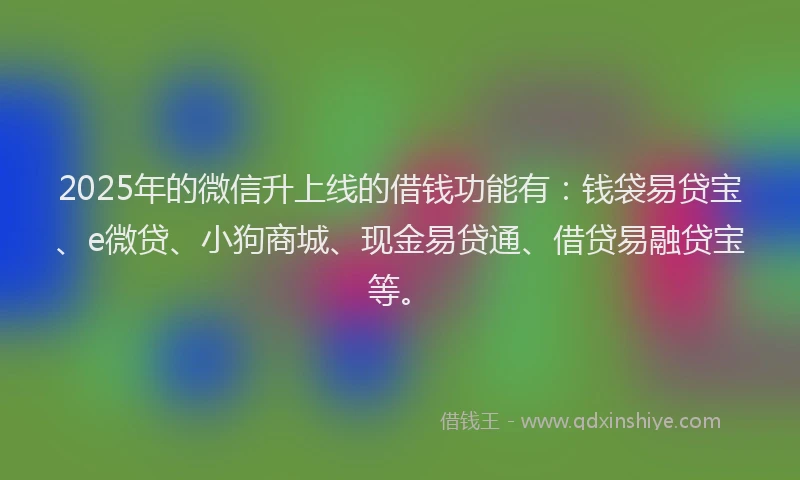 2025年的微信升上线的借钱功能有：钱袋易贷宝、e微贷、小狗商城、现金易贷通、借贷易融贷宝等。